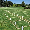 Find Your Dream Property In Taggerty Affordable Country Land